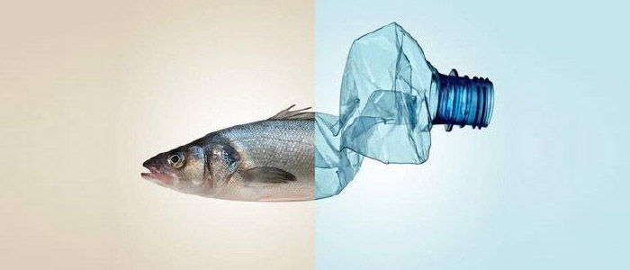 Plastik Çağı: Mikroplastiklere Genel Bakış