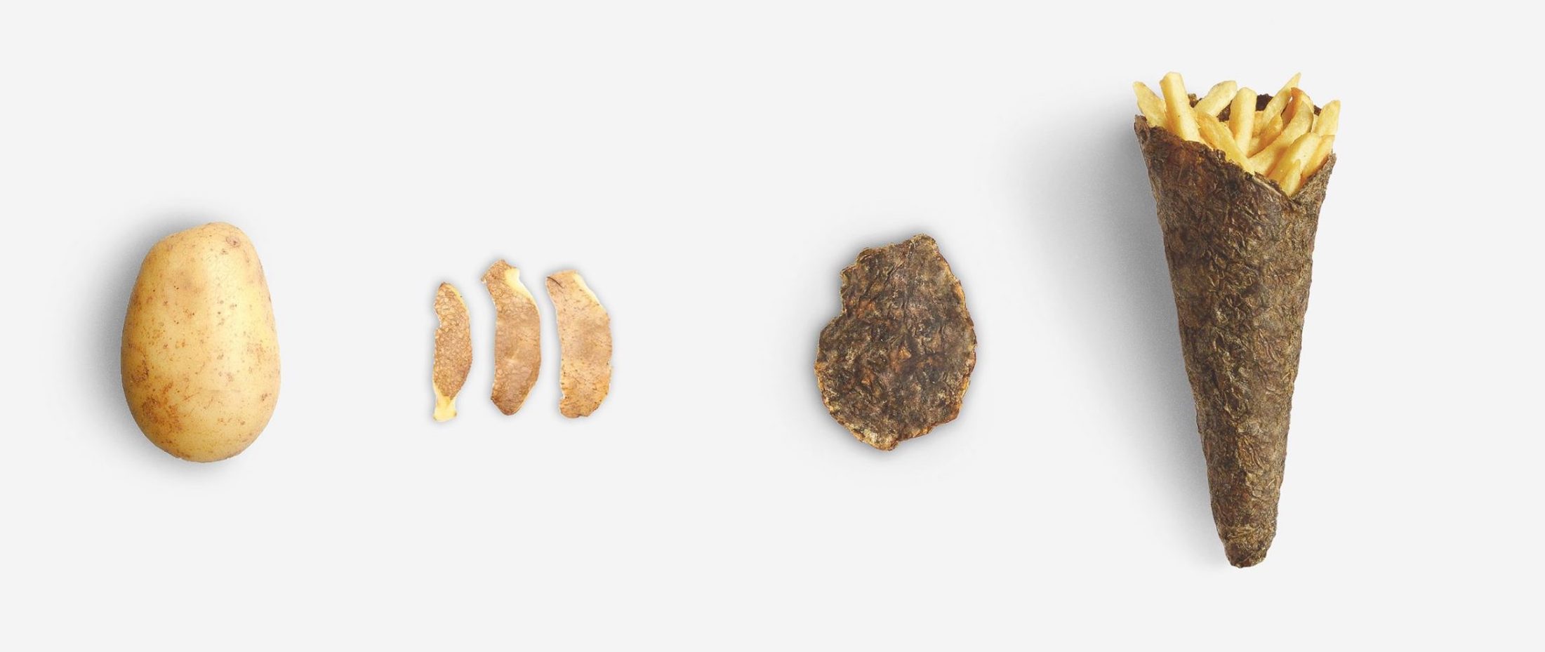 Ekoloji Nedir? Sürdürülebilirlik ve Tasarımcı İlişkisi