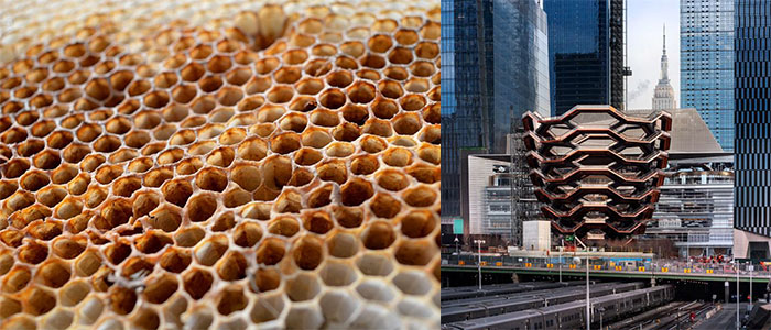 Tasarım Sözlüğü: Strüktür