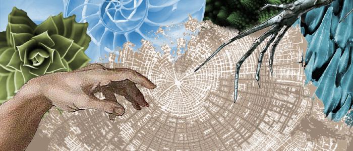 Tasarımda Doğanın Bilgisinden Yararlanmak: Biyomimikri